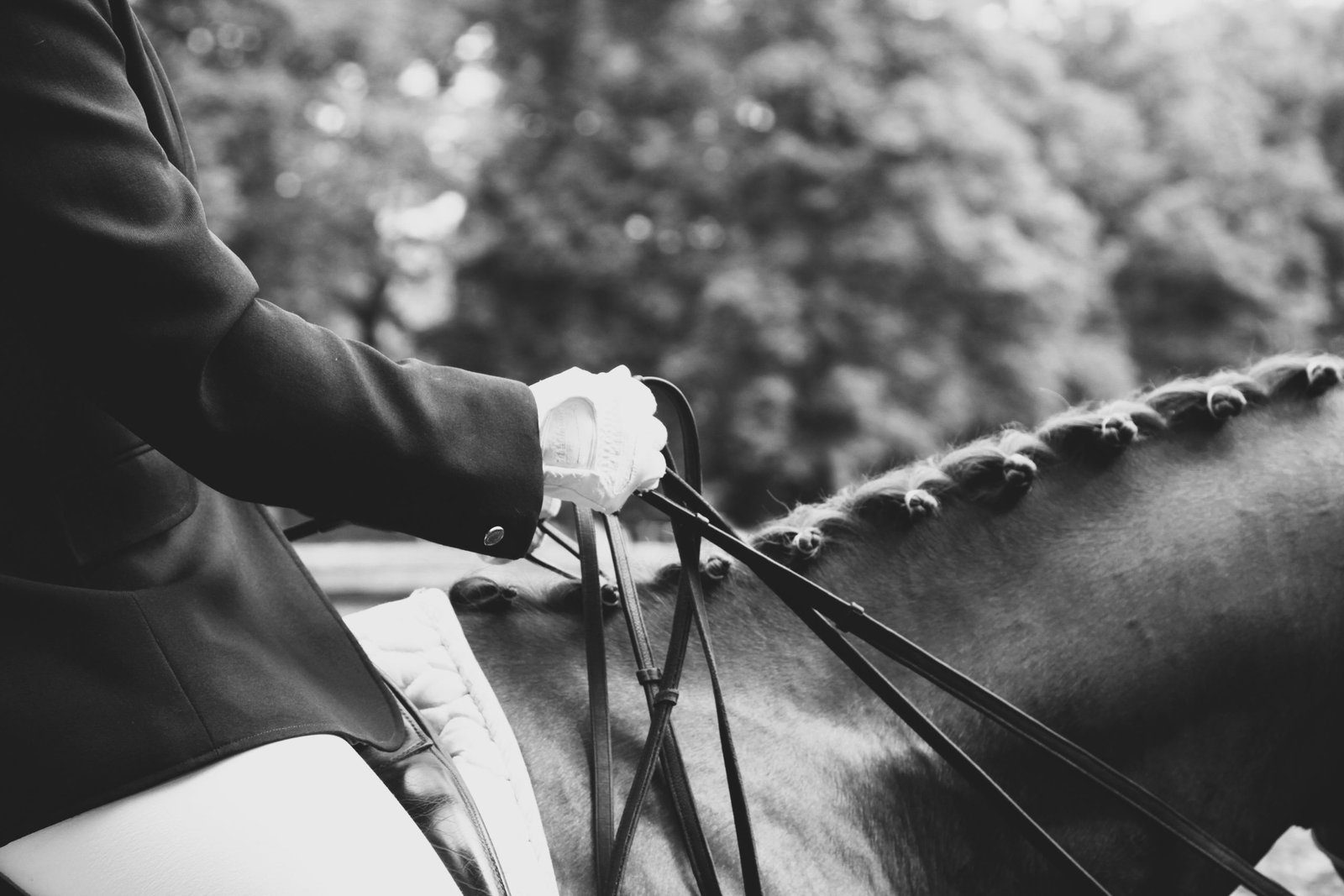 Horse and rider in dressage event