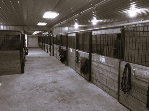 Barn Stalls