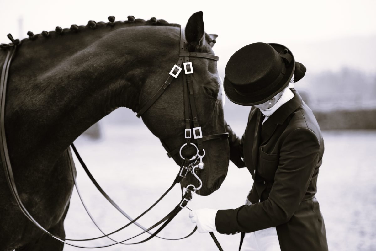 Female rider petting dressage horse in equestrian arena